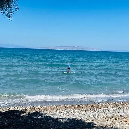 فيلة Ramann, Rhodes *