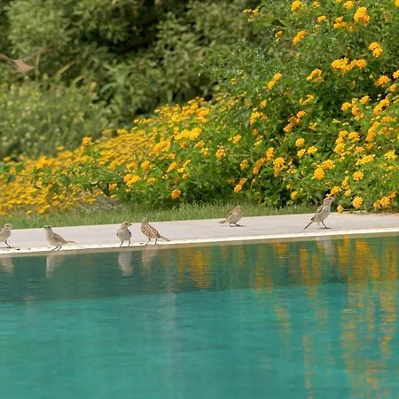 Βίλα Ramann, Rhodes