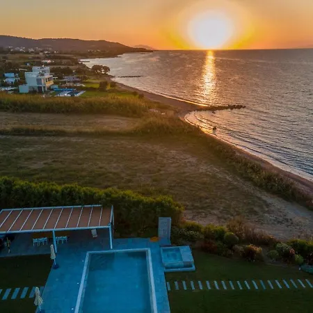 Βίλα Ramann, Rhodes Φάνες